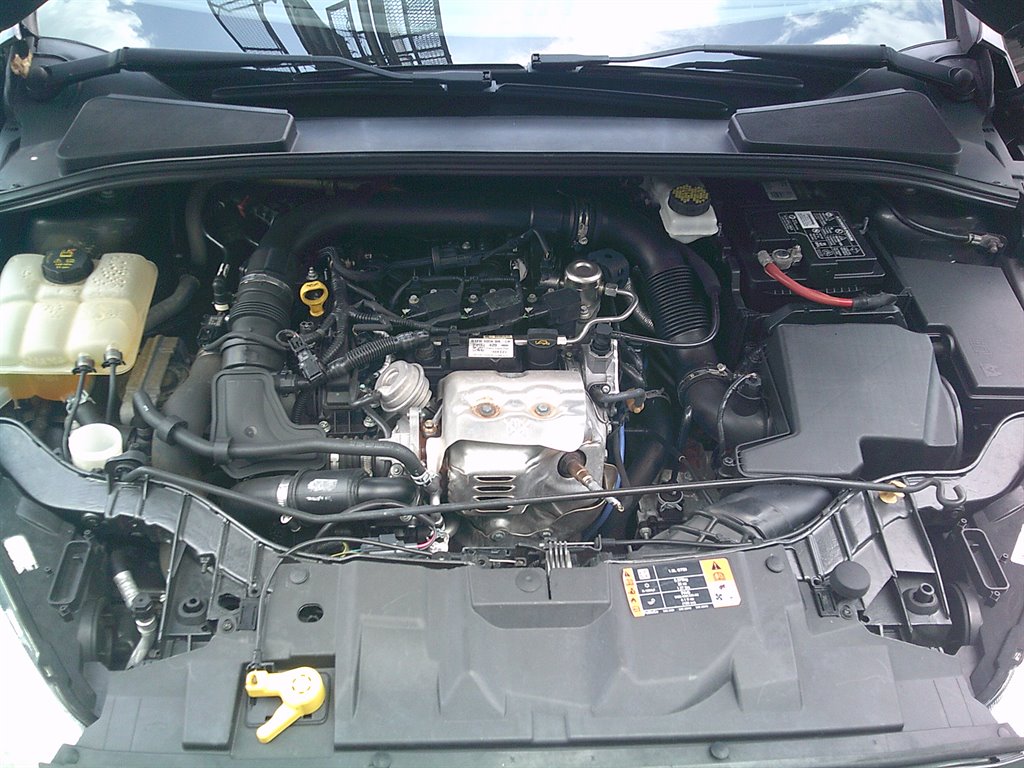 Photo 19